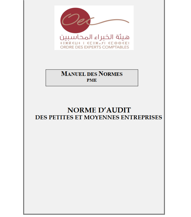 Manuel d'Audit des PME au Maroc